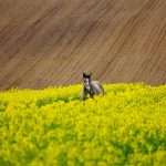 Psycholog: Funkcja, Asysta i Pomoc w Trudnych Momentach